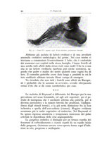 giornale/TO00175354/1938/unico/00000032