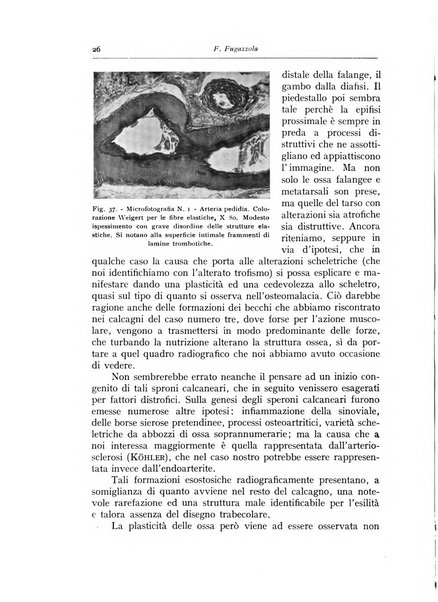 Annali di radiologia e fisica medica