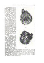 giornale/TO00175354/1938/unico/00000255