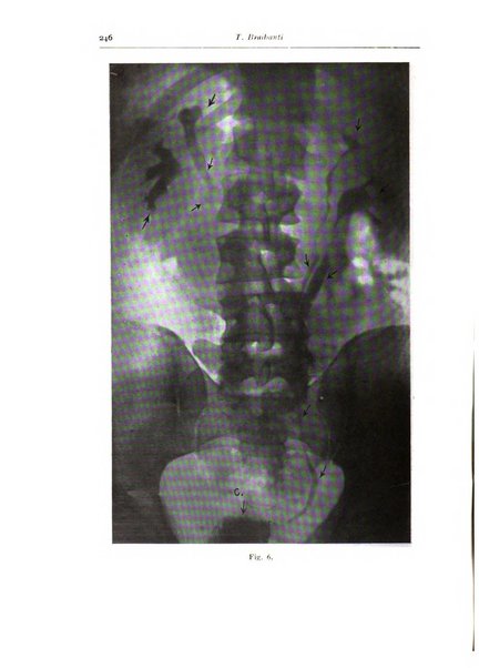 Annali di radiologia e fisica medica