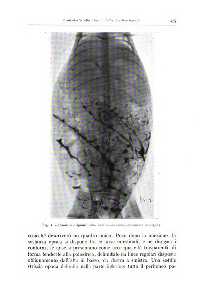 Annali di radiologia e fisica medica