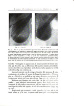 giornale/TO00175354/1938/unico/00000395