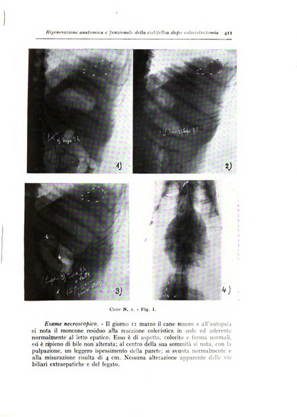 Annali di radiologia e fisica medica