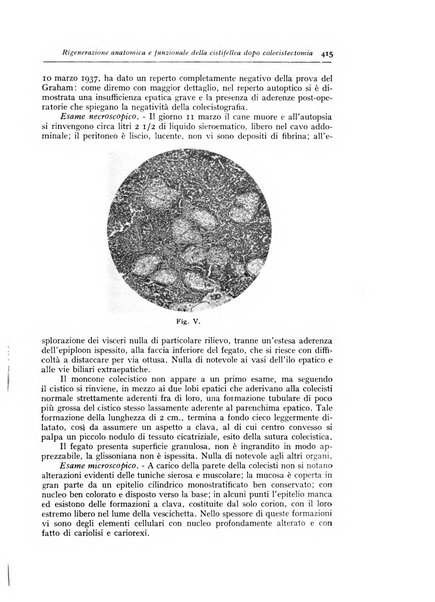 Annali di radiologia e fisica medica