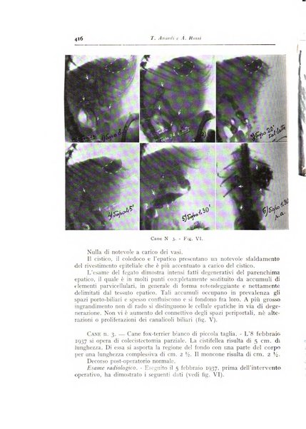 Annali di radiologia e fisica medica