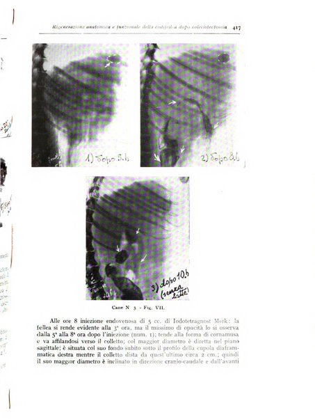 Annali di radiologia e fisica medica