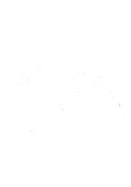 giornale/TO00175367/1908/unico/00000004