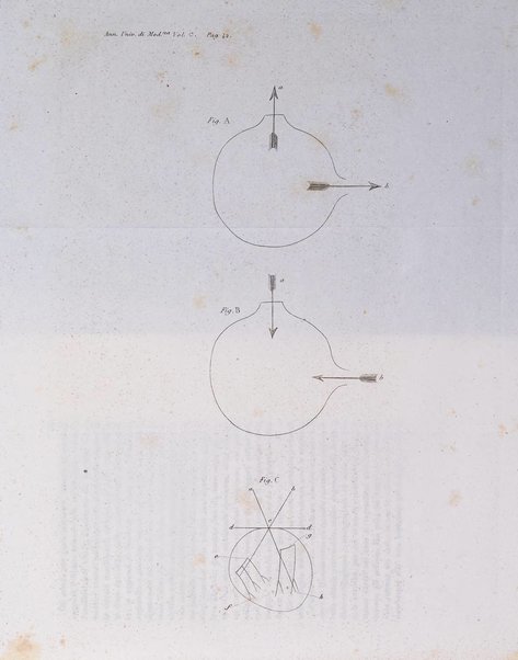 Annali universali di medicina