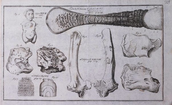 Acta physico-medica Academiae caesareae leopoldino-carolinae naturae curiosorum exhibentia ephemerides sive oservationes historias et experimenta a celeberrimis Germaniae et exterarum regionum viris habita et communicata..