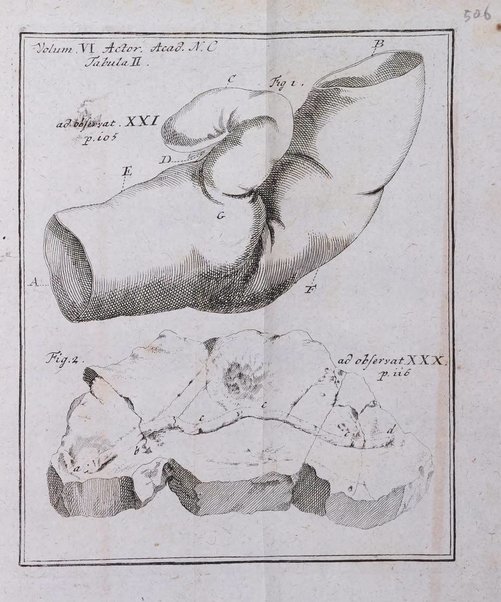 Acta physico-medica Academiae caesareae leopoldino-carolinae naturae curiosorum exhibentia ephemerides sive oservationes historias et experimenta a celeberrimis Germaniae et exterarum regionum viris habita et communicata..