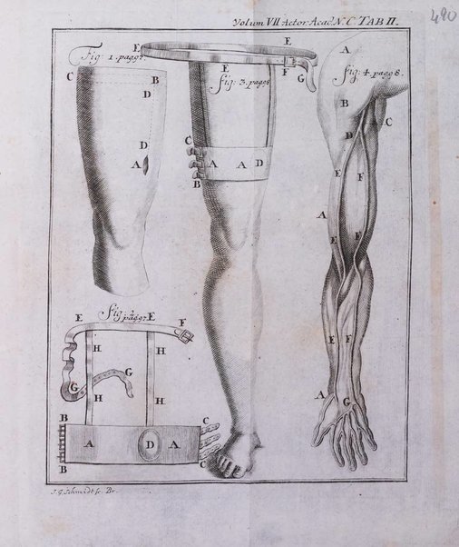 Acta physico-medica Academiae caesareae leopoldino-carolinae naturae curiosorum exhibentia ephemerides sive oservationes historias et experimenta a celeberrimis Germaniae et exterarum regionum viris habita et communicata..