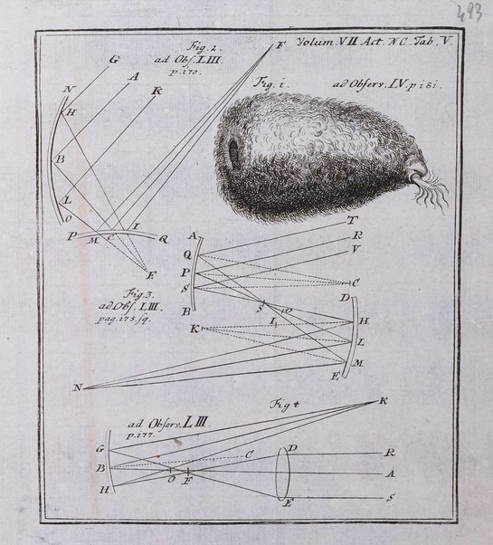 Acta physico-medica Academiae caesareae leopoldino-carolinae naturae curiosorum exhibentia ephemerides sive oservationes historias et experimenta a celeberrimis Germaniae et exterarum regionum viris habita et communicata..