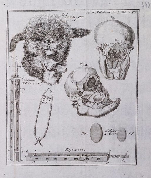 Acta physico-medica Academiae caesareae leopoldino-carolinae naturae curiosorum exhibentia ephemerides sive oservationes historias et experimenta a celeberrimis Germaniae et exterarum regionum viris habita et communicata..