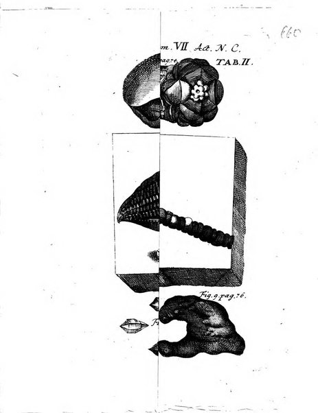 Acta physico-medica Academiae caesareae leopoldino-carolinae naturae curiosorum exhibentia ephemerides sive oservationes historias et experimenta a celeberrimis Germaniae et exterarum regionum viris habita et communicata..