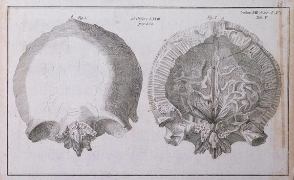 Acta physico-medica Academiae caesareae leopoldino-carolinae naturae curiosorum exhibentia ephemerides sive oservationes historias et experimenta a celeberrimis Germaniae et exterarum regionum viris habita et communicata..