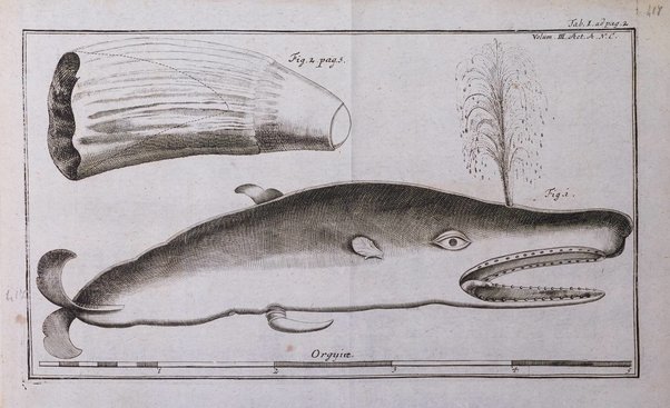 Acta physico-medica Academiae caesareae leopoldino-carolinae naturae curiosorum exhibentia ephemerides sive oservationes historias et experimenta a celeberrimis Germaniae et exterarum regionum viris habita et communicata..