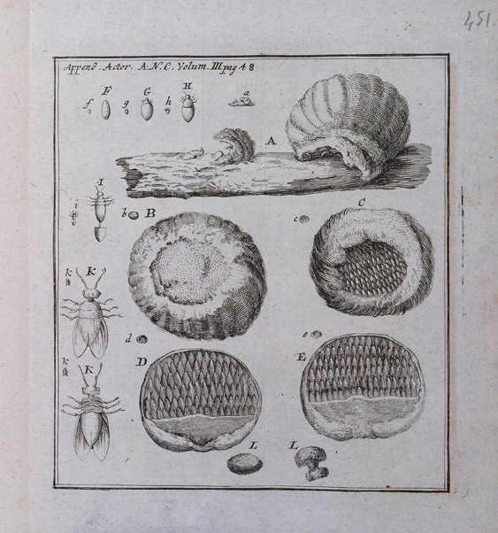 Acta physico-medica Academiae caesareae leopoldino-carolinae naturae curiosorum exhibentia ephemerides sive oservationes historias et experimenta a celeberrimis Germaniae et exterarum regionum viris habita et communicata..