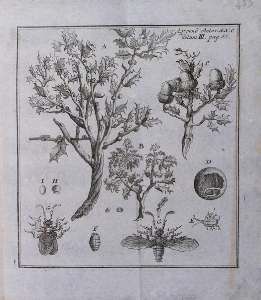 Acta physico-medica Academiae caesareae leopoldino-carolinae naturae curiosorum exhibentia ephemerides sive oservationes historias et experimenta a celeberrimis Germaniae et exterarum regionum viris habita et communicata..