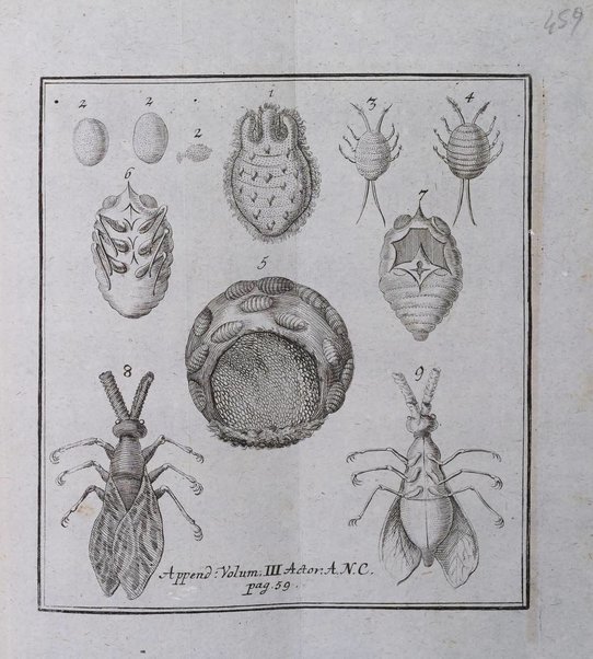 Acta physico-medica Academiae caesareae leopoldino-carolinae naturae curiosorum exhibentia ephemerides sive oservationes historias et experimenta a celeberrimis Germaniae et exterarum regionum viris habita et communicata..