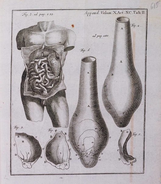 Acta physico-medica Academiae caesareae leopoldino-carolinae naturae curiosorum exhibentia ephemerides sive oservationes historias et experimenta a celeberrimis Germaniae et exterarum regionum viris habita et communicata..