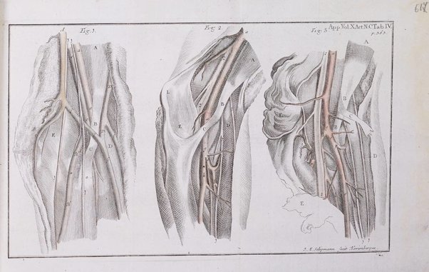 Acta physico-medica Academiae caesareae leopoldino-carolinae naturae curiosorum exhibentia ephemerides sive oservationes historias et experimenta a celeberrimis Germaniae et exterarum regionum viris habita et communicata..