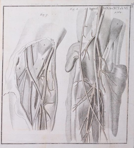 Acta physico-medica Academiae caesareae leopoldino-carolinae naturae curiosorum exhibentia ephemerides sive oservationes historias et experimenta a celeberrimis Germaniae et exterarum regionum viris habita et communicata..