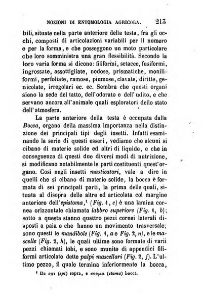 Annuario dell'Istituto e Museo di fisica e storia naturale per l'anno ...