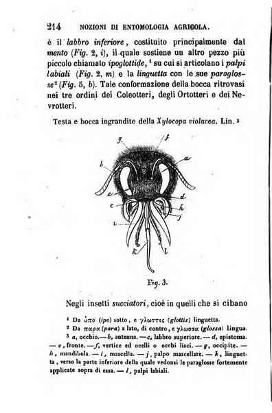 Annuario dell'Istituto e Museo di fisica e storia naturale per l'anno ...