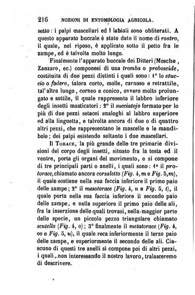 Annuario dell'Istituto e Museo di fisica e storia naturale per l'anno ...