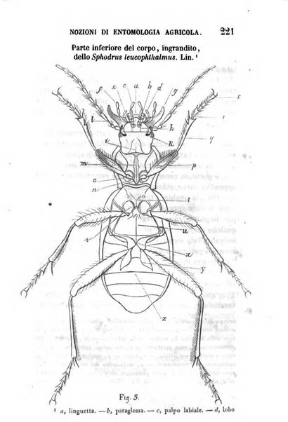 Annuario dell'Istituto e Museo di fisica e storia naturale per l'anno ...