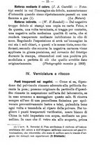 giornale/TO00176308/1900/unico/00000041