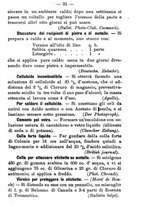 giornale/TO00176308/1900/unico/00000057