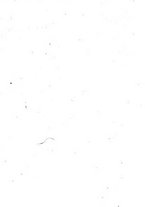 giornale/TO00176355/1874/unico/00000005