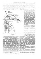 giornale/TO00176361/1921/unico/00000039