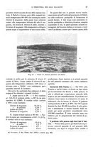 giornale/TO00176361/1921/unico/00000041