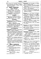giornale/TO00176426/1880-1881/unico/00000100
