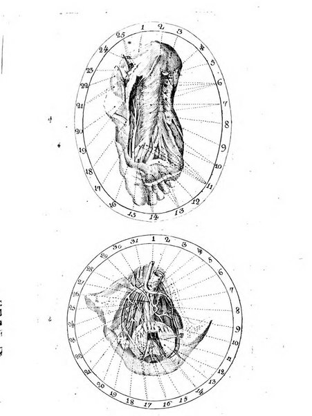 Antologia romana