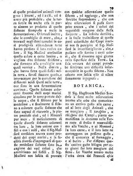 Antologia romana