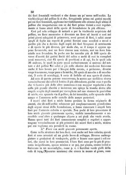 L'apicoltore giornale dell'Associazione centrale d'incoraggiamento per l'apicoltura in Italia