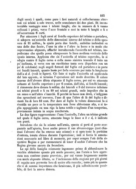 L'apicoltore giornale dell'Associazione centrale d'incoraggiamento per l'apicoltura in Italia