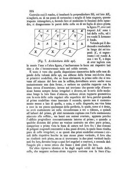 L'apicoltore giornale dell'Associazione centrale d'incoraggiamento per l'apicoltura in Italia