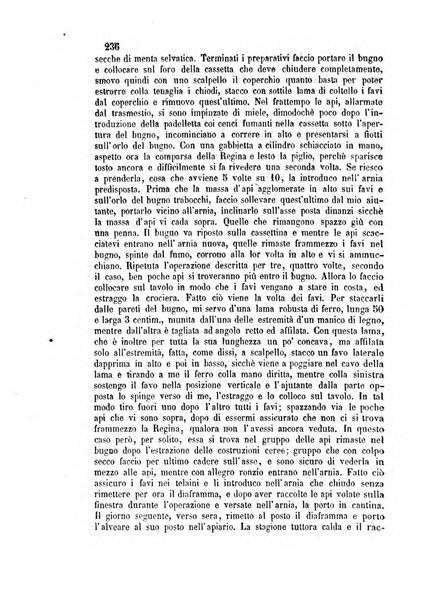 L'apicoltore giornale dell'Associazione centrale d'incoraggiamento per l'apicoltura in Italia