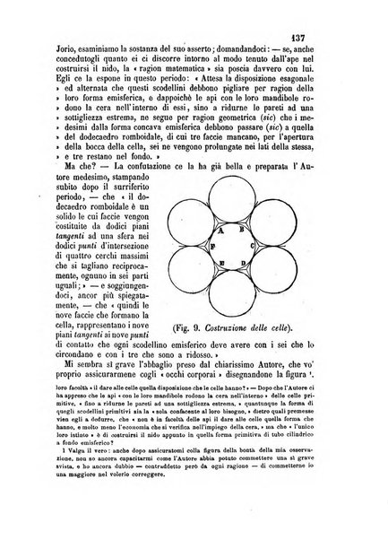 L'apicoltore giornale dell'Associazione centrale d'incoraggiamento per l'apicoltura in Italia