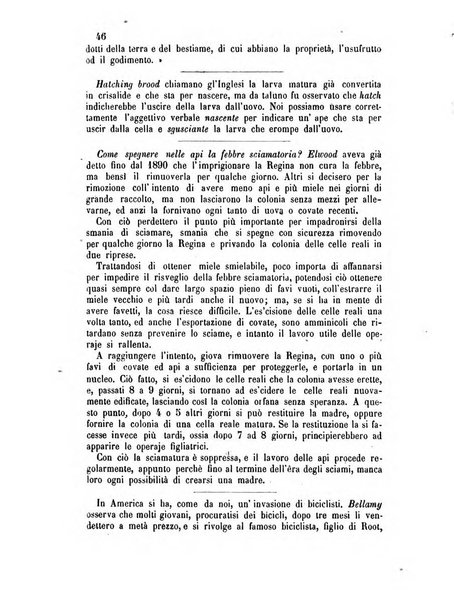 L'apicoltore giornale dell'Associazione centrale d'incoraggiamento per l'apicoltura in Italia