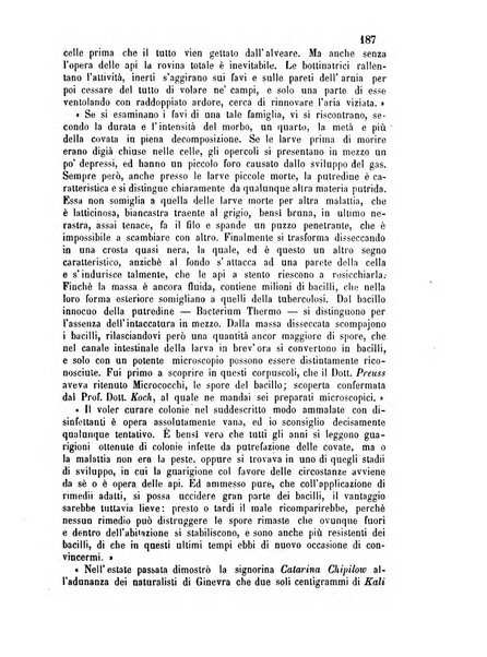 L'apicoltore giornale dell'Associazione centrale d'incoraggiamento per l'apicoltura in Italia