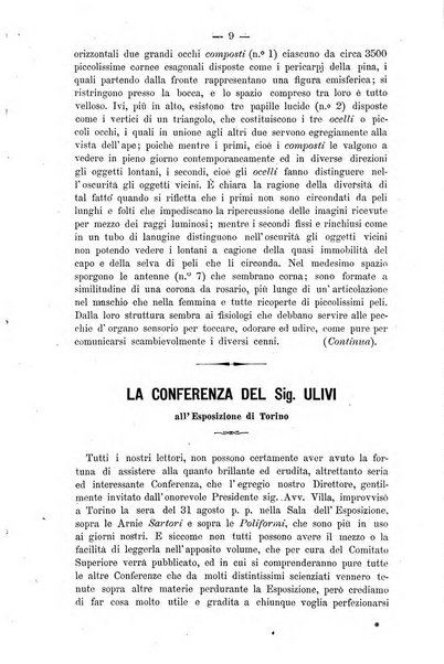 L' apicoltura razionale risorta in Italia