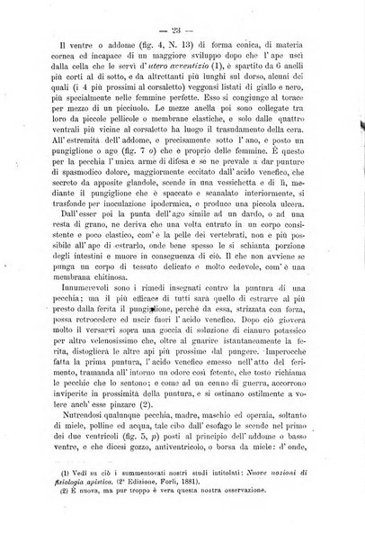 L' apicoltura razionale risorta in Italia