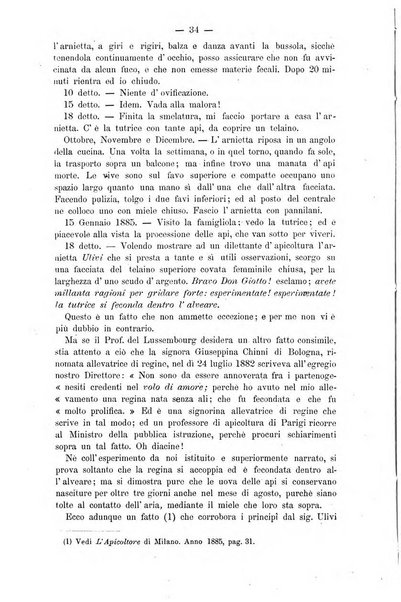 L' apicoltura razionale risorta in Italia