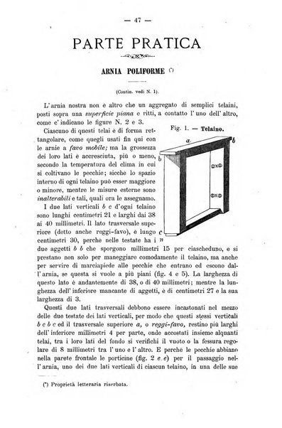 L' apicoltura razionale risorta in Italia