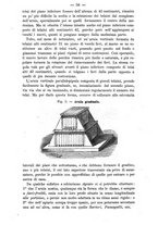 giornale/TO00176638/1885/unico/00000062